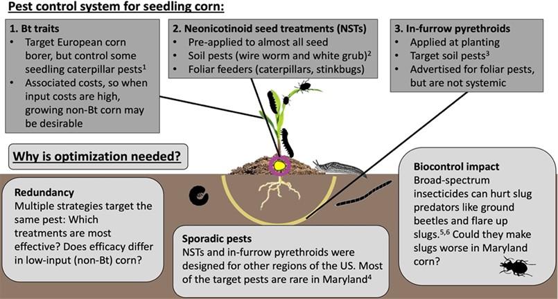 infographic pest control system for seedling corn