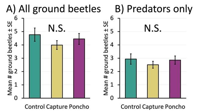 Bar charts displaying the results of predatory ground beetles caught per week