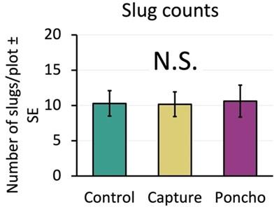 Bar chart displaying the results of slug counts