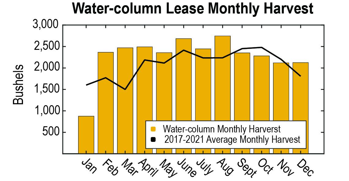 The graph shows the monthly oyster harvest water-column leases in Maryland for 2022. The black line is the five-year average (2017-2021) and the gold bars represent monthly harvest for 2022.