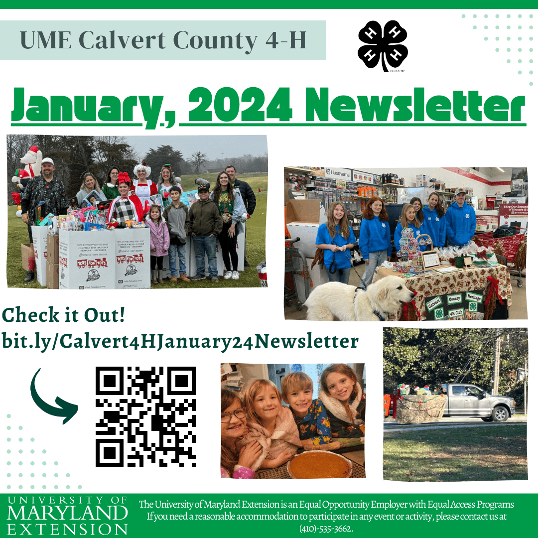 Graphic advertising the January 2024 Newsletter for Calvert County 4-H