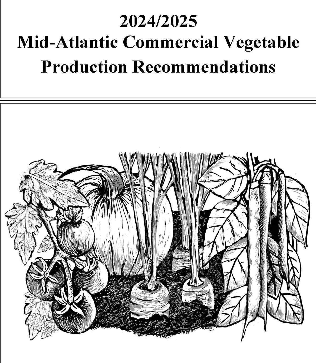 Vegetable Production Guide