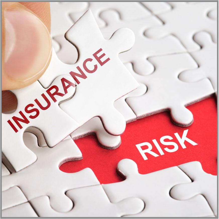 A puzzle piece where the gap is “Risk” and the appropriate pieces to cover the gap are “Insurance.”