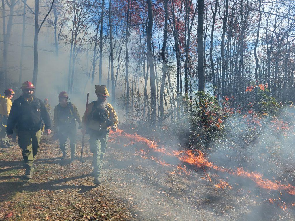 DNR forester Sean Weaver, left, walks along the fire line shortly after the start of a prescribed burn in Frederick. Photo by Joe Zimmermann, tristatealert.com