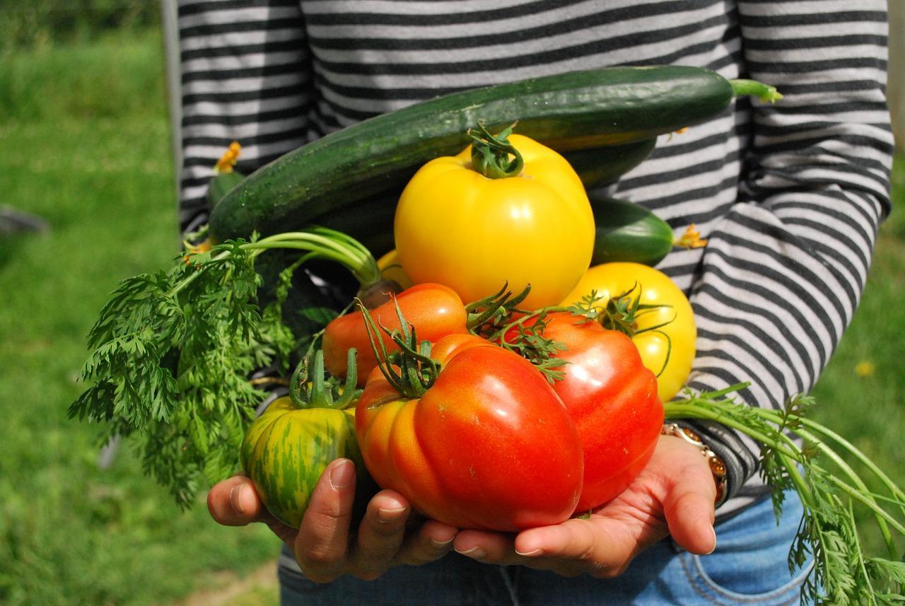a person holding a handful of vegetables picked from a garden