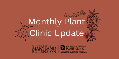 Monthly plant clinic update
