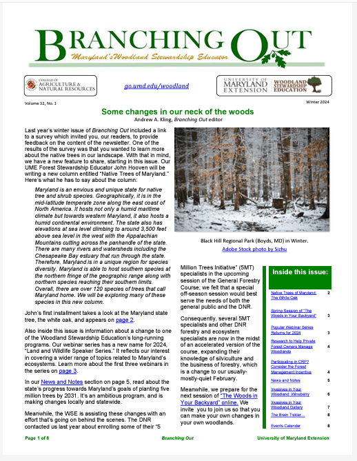 Front page of Branching Out - Winter 2024