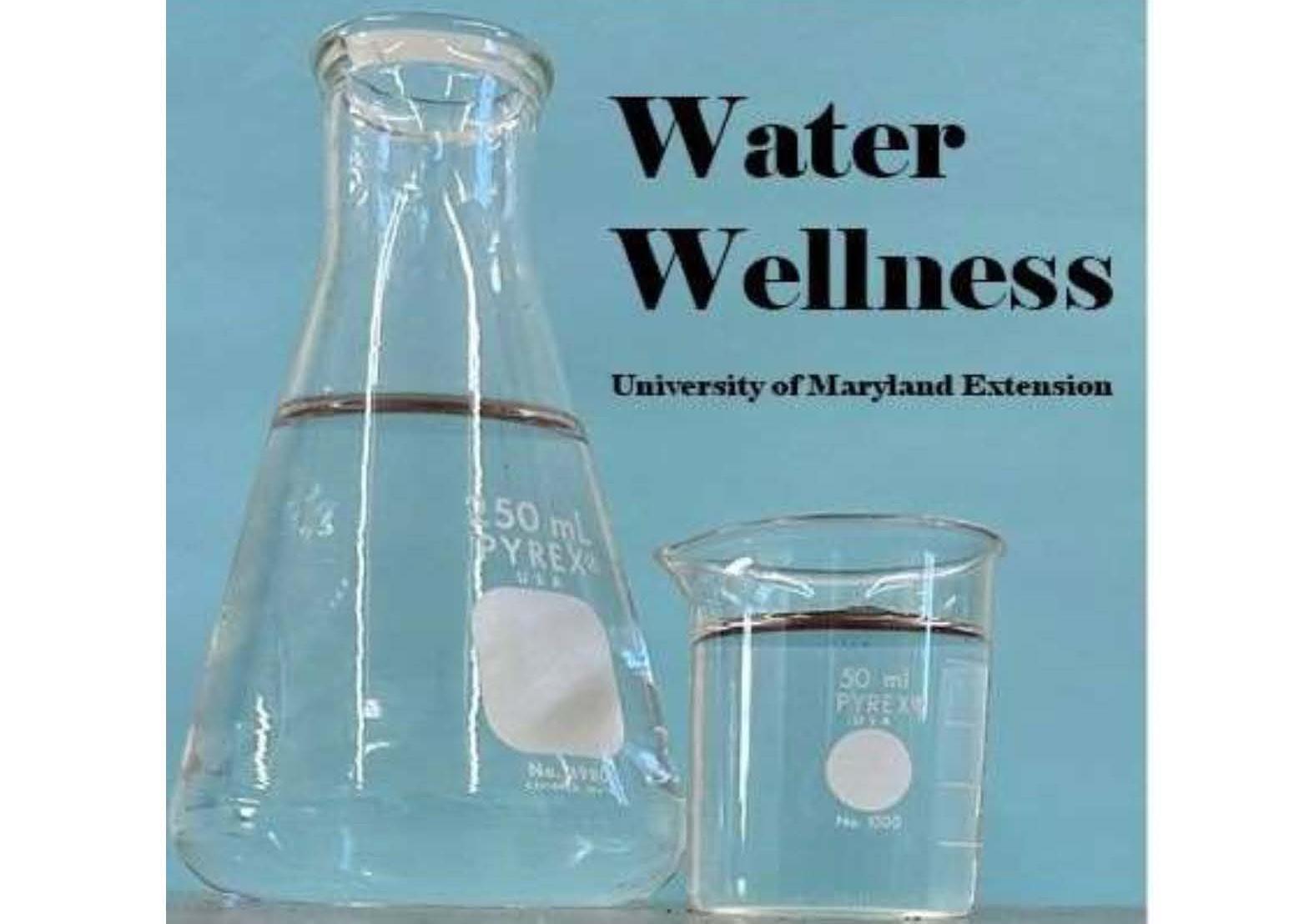 Water Wellness_rectangular.jpg