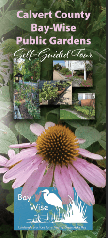 Image of the 2023 Bay-Wise Public Garden Brochure 