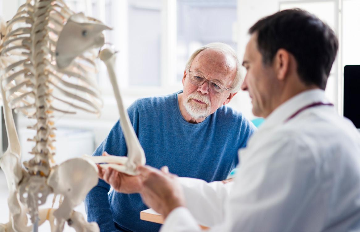 A doctor is displaying the bone structure of a skeleton to a senior male patient.  