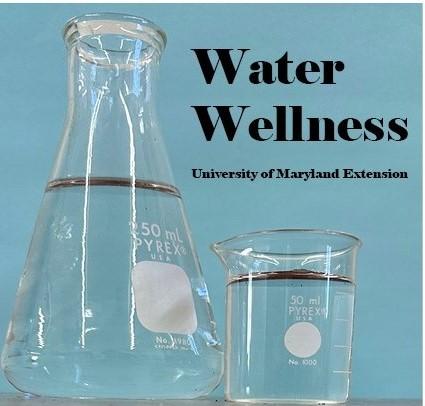 Water Wellness