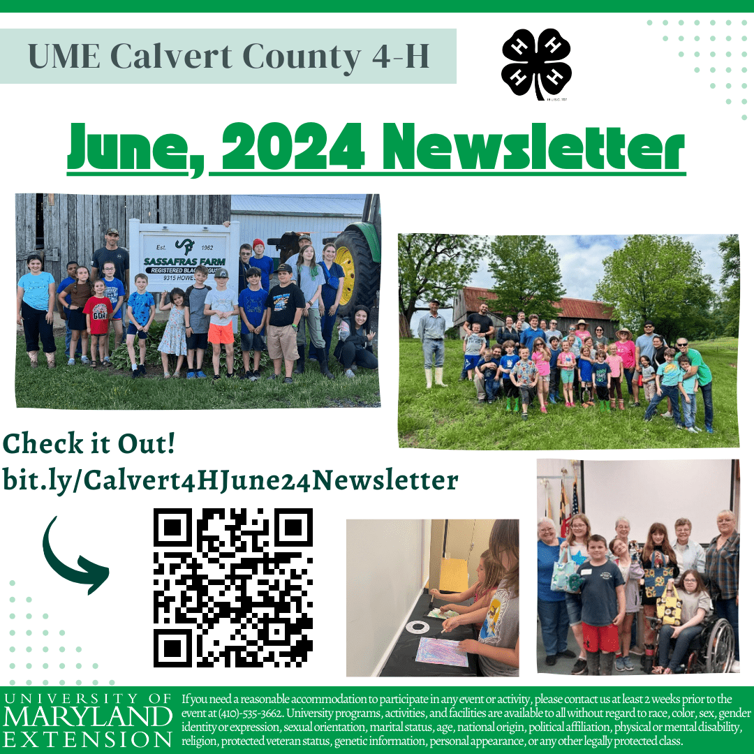 Graphic advertising the Calvert 4-H Newsletter for June 2024