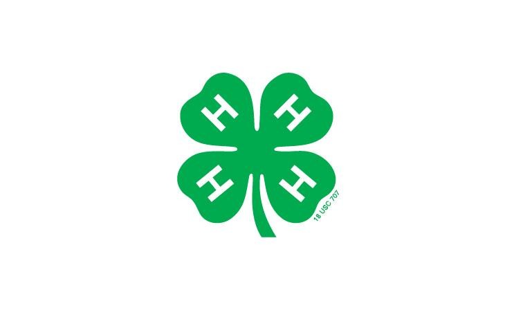 4-H clover logo