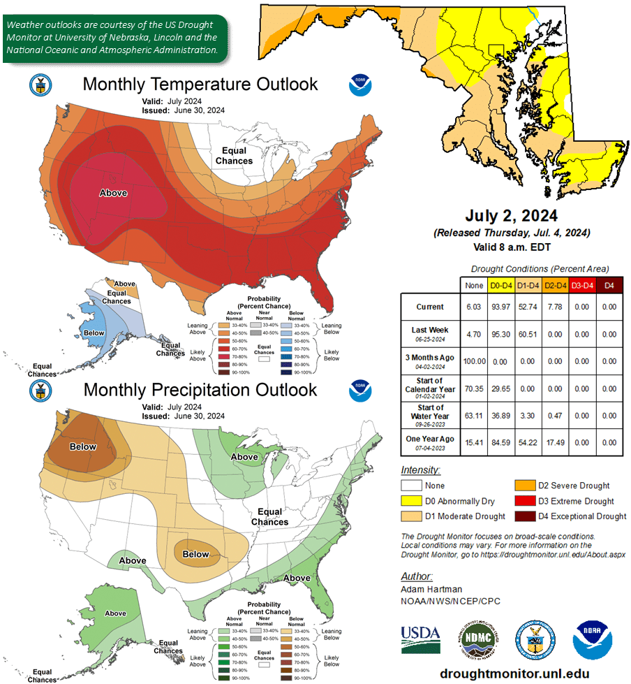 July 2024 infographics on monthy temperature, drought conditions, and precipitation outlook