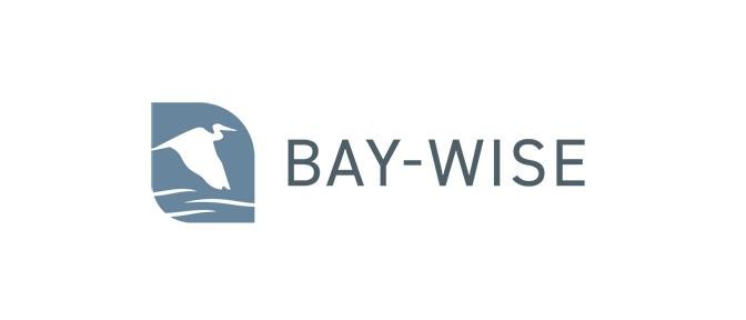 Baywise logo