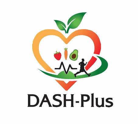 Dash plus logo