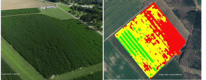 Example of drone usage in the crop fields.