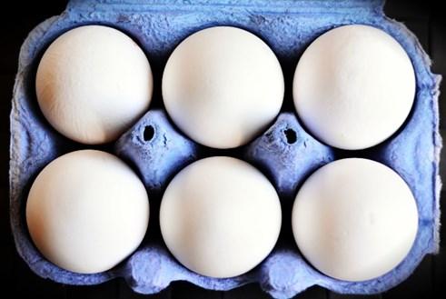 A blue carton of six white eggs