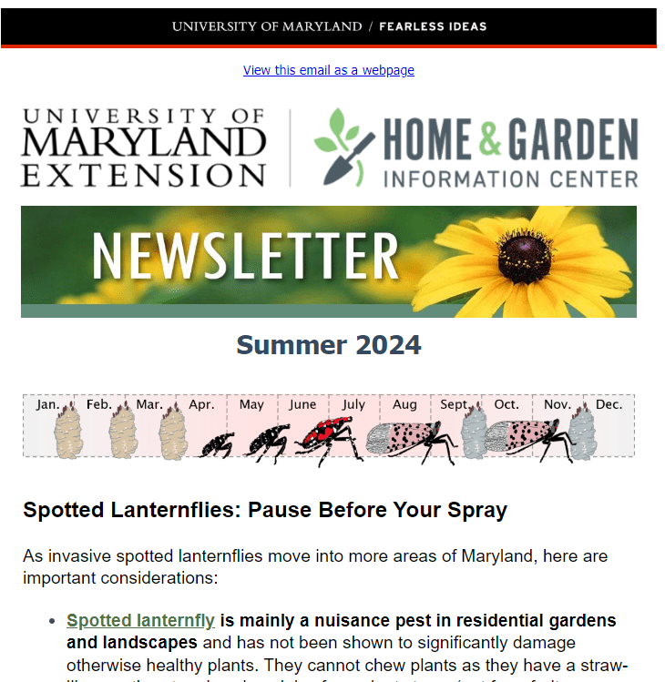 screenshot of the home gardening newsletter for summer 2024