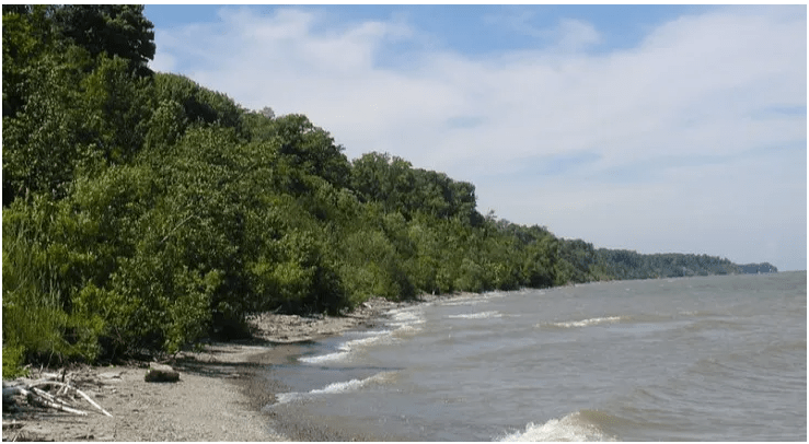 Erie Bluffs State Park. Image from Pennsylvania DCNR.