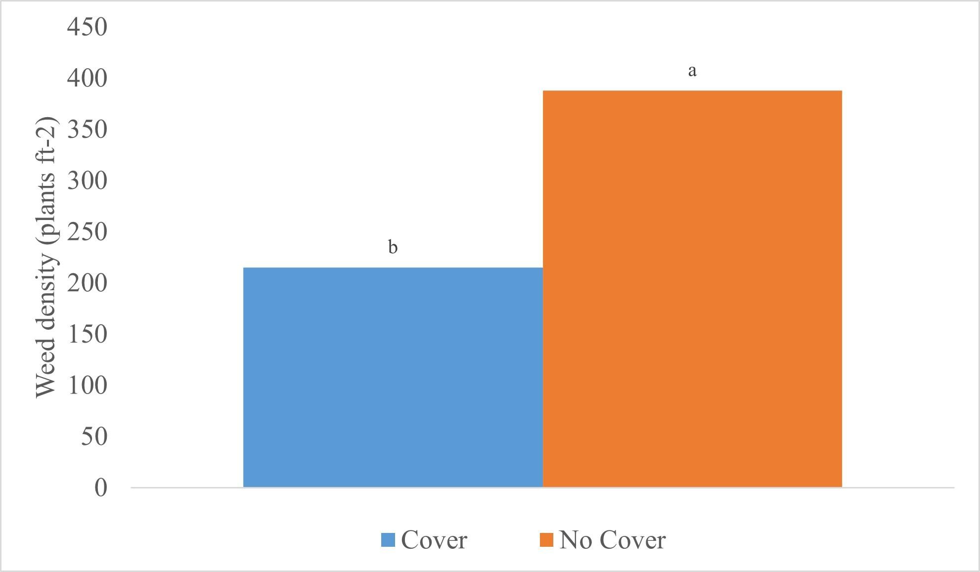 Bar graph on weed density in an oat cover crop vs no cover crop
