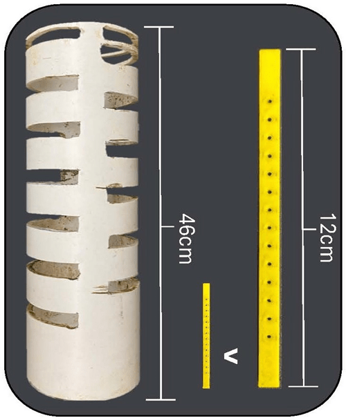 Trap with bait strip  - Soil Anthropods