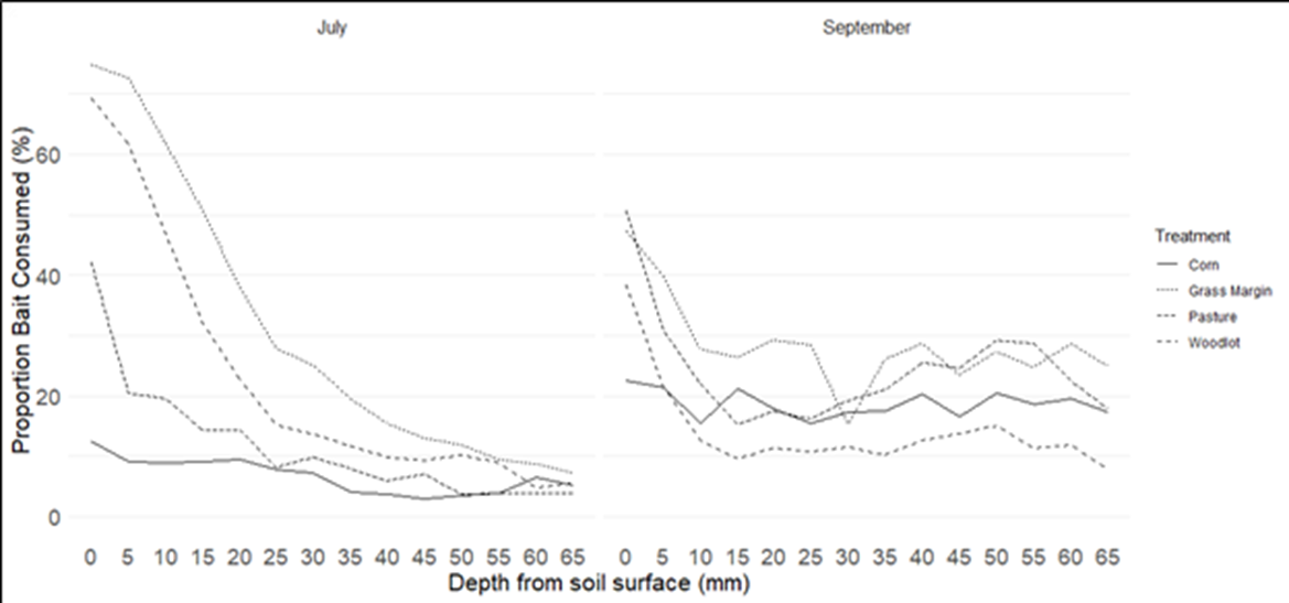 Vertical distribution 