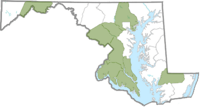 Reported 2025 distribution of Japanese Wisteria in Maryland. Courtesy Maryland Biodiversity Project.