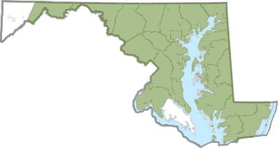 Reported 2025 distribution of winter creeper in Maryland, from Maryland Biodiversity Project.  