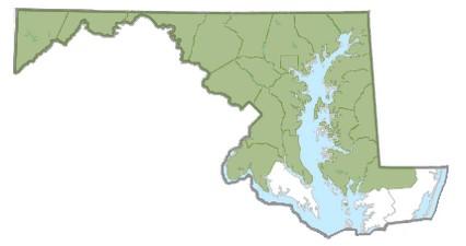 Norway Maple distribution in Maryland, 2025. Map by Maryland Biodiversity Project.