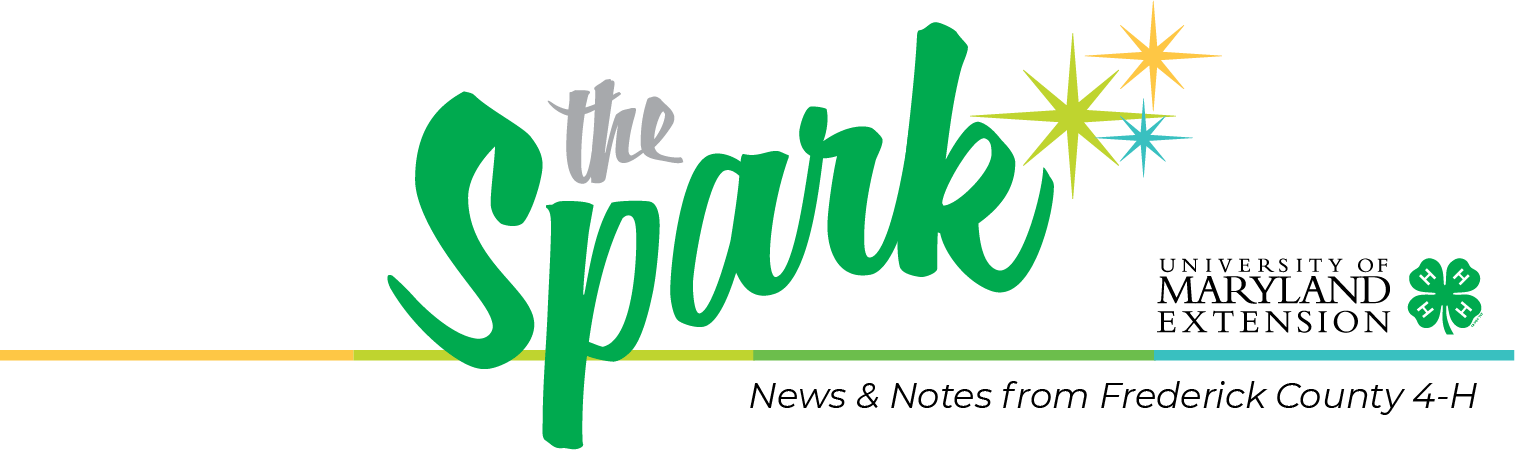 Spark Newsletter Header