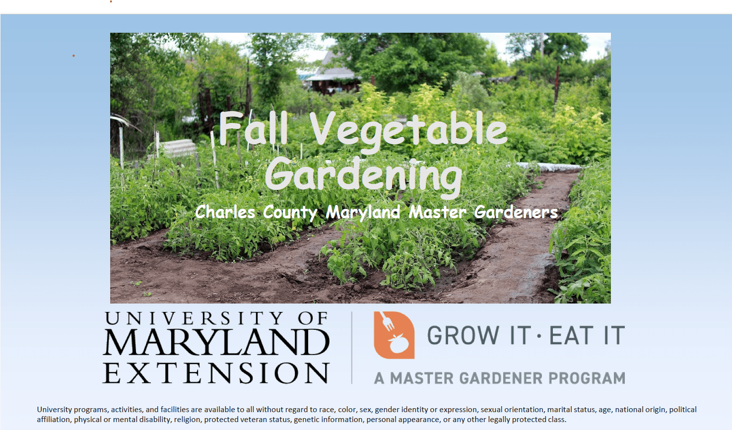 Photo of a vegetable garden