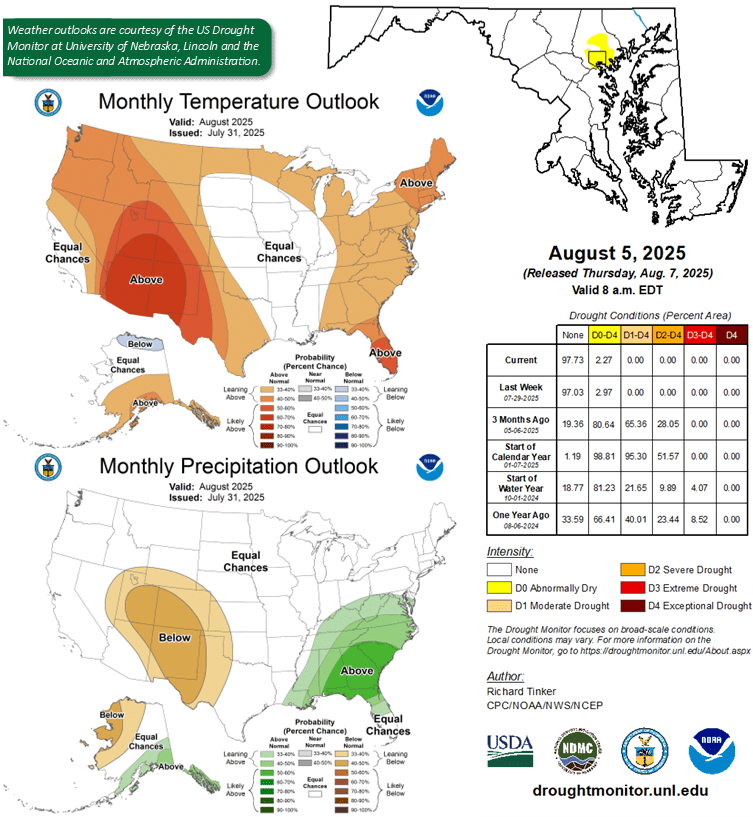 Monthly U.S. temperature and precipitation outlook maps for August 2025; show above-average temperatures in the West, below-average rain in the Southwest.