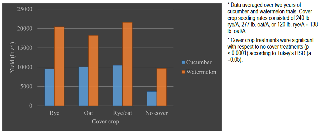 A bar graph comparing the yield (lb a⁻¹) of cucumber and watermelon crops across different cover crops: Rye, Oat, Rye/oat, and No cover. The orange bars representing watermelon generally show higher yields than the blue bars for cucumber, with watermelon yields significantly higher than cucumber yields in Rye and Rye/oat cover crops. Watermelon yield is also slightly higher in the Oat cover crop. Cucumber yield is lowest with the 'No cover' approach.