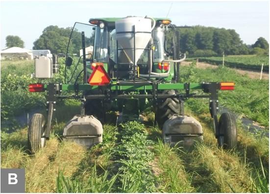 Rear view of a green tractor with a sprayer attachment, driving through a field of crops on a sunny day. The tractor has a large white tank, an orange triangle safety sign, and side mirrors. The field has rows of plants with green foliage, and a few white farm buildings are visible in the distance.
