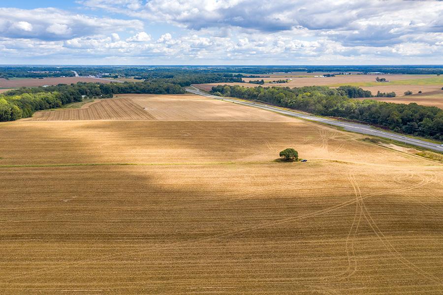 erial view of a vast golden-brown harvested corn field with a single tree casting a shadow, bordered by a road and dense green forest under a partly cloudy sky