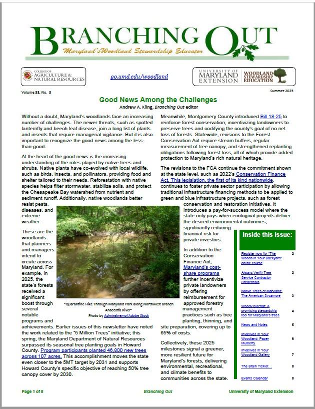 Branching Out cover page from Summer 2025 issue (Vol. 33, no. 3)