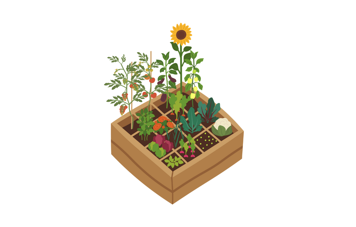 Grid layout of a variety of plants in a vegetable bed.