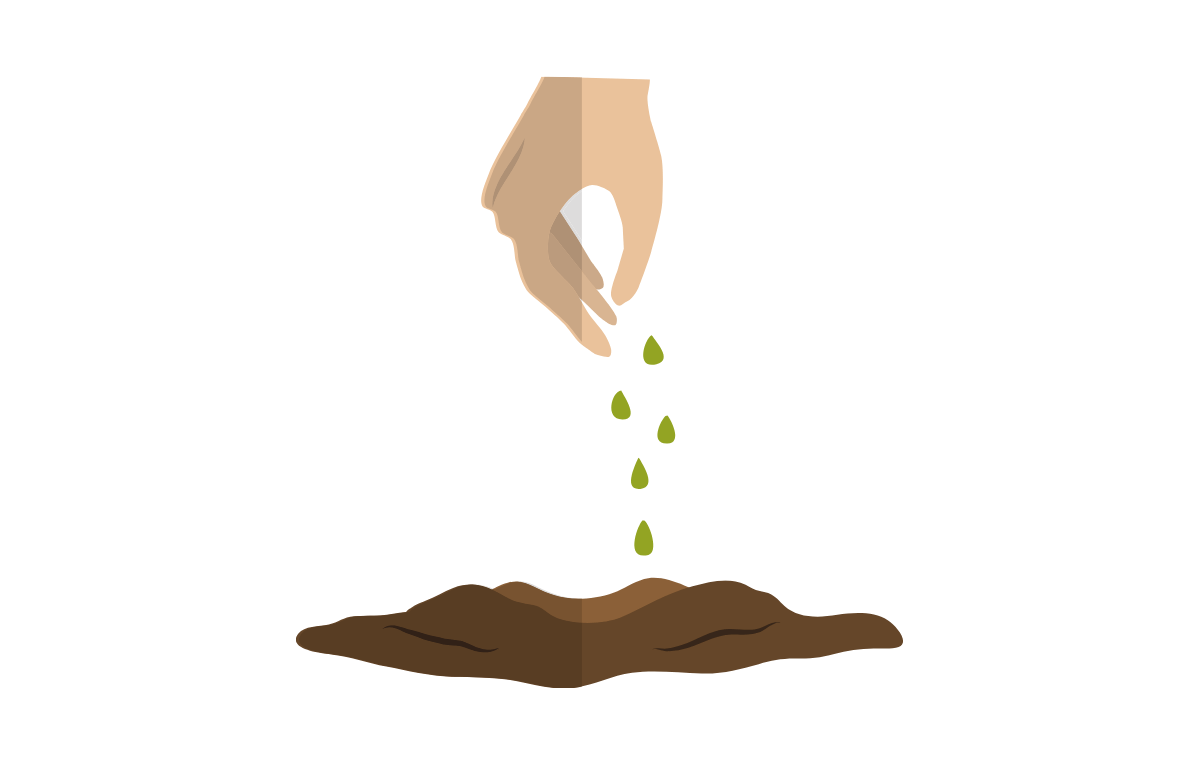 Hand sprinkling seed onto the soil.