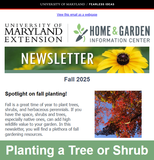 Thumbnail of newsletter content fall 2025