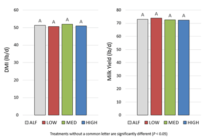 Bar graphs comparing dry matter intake and milk yield across four treatments: ALF, LOW, MED, and HIGH.