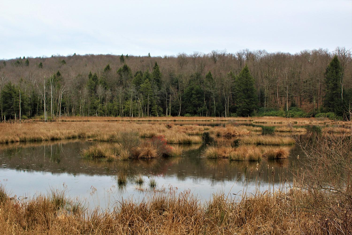 Piney Dam in Frostburg, Maryland. Photo by Alexis/Adobe Stock.