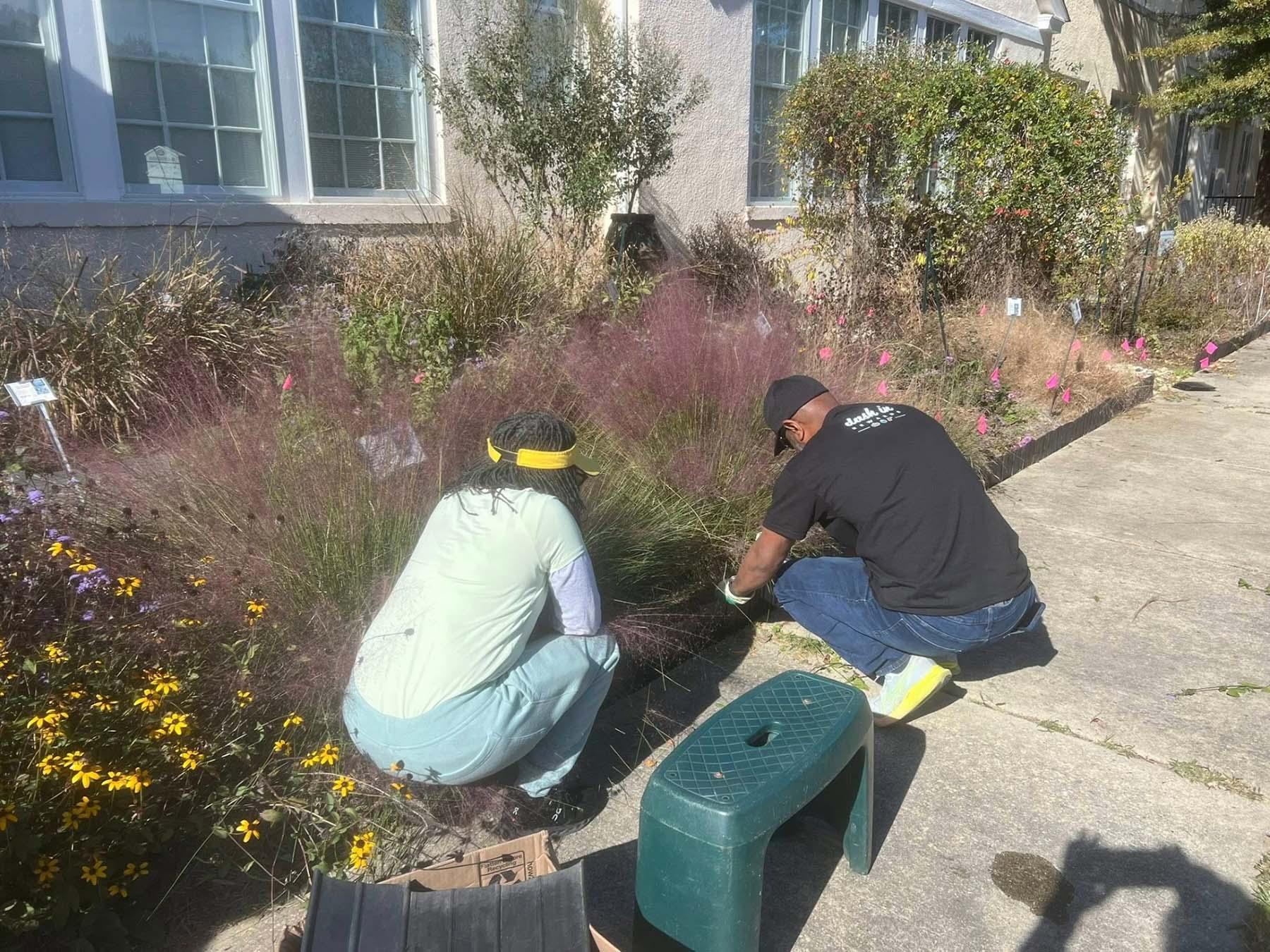 Two MG volunteers cleaning up the demo garden at the Charles County Extension Office