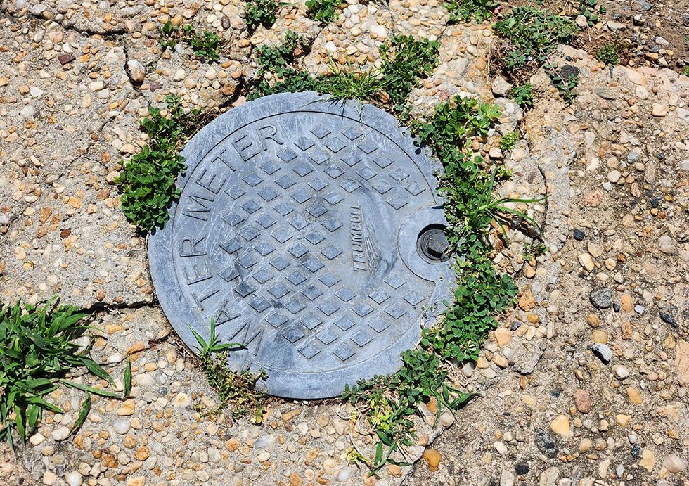 The image shows a water meter that is gray and circular and surrounded by plants and concrete. The water meter has the words “water meter” on it. 