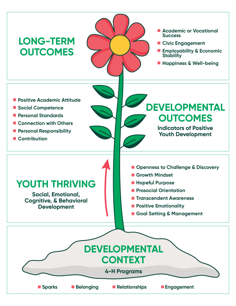 Diagram of a red flower illustrating 4-H youth development. Roots: developmental context; stem: youth thriving; leaves: developmental outcomes; flower: long-term outcomes.