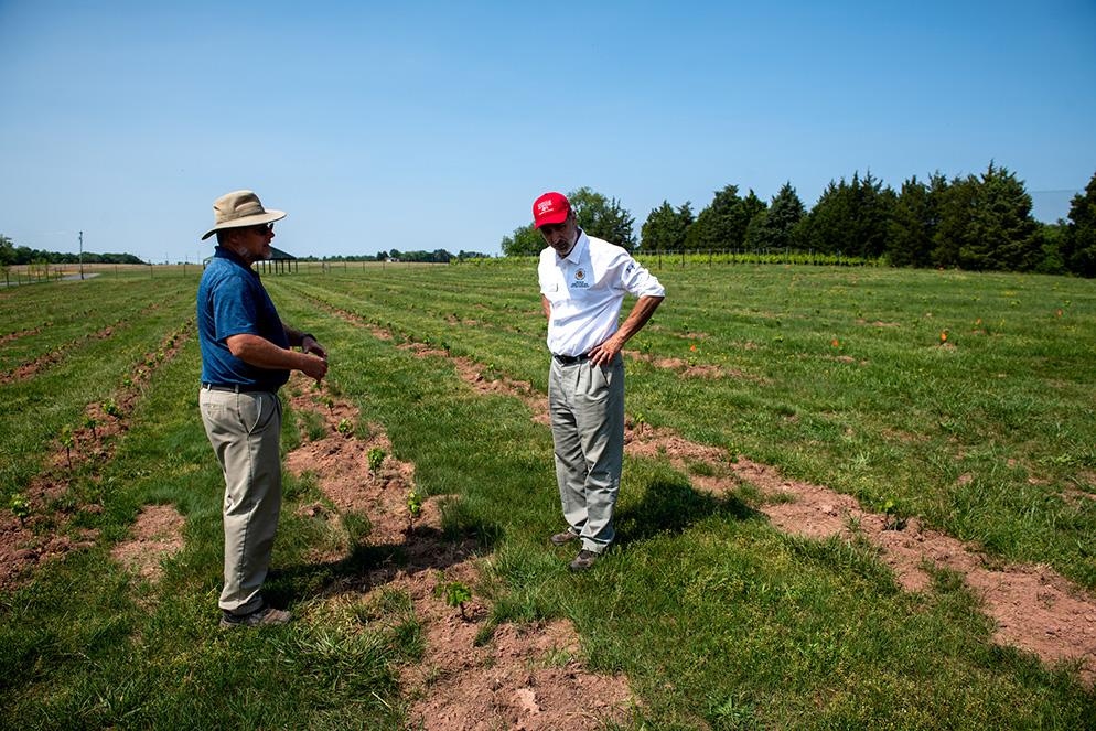 Two men stand in an expansive field, discussing young plants. One wears a broad hat, the other a red cap. The sky is clear, and trees line the horizon.