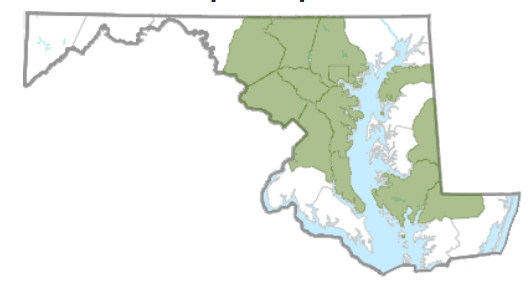 Goldenrain tree reported distribution.  From Maryland Biodiversity Project.