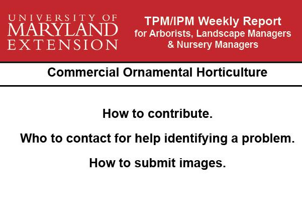 Logo for IPM report submissions