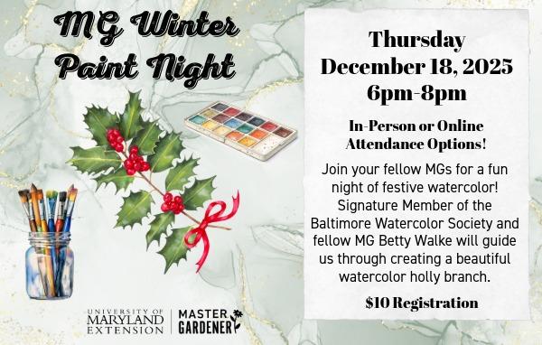 watercolor image of a holly branch