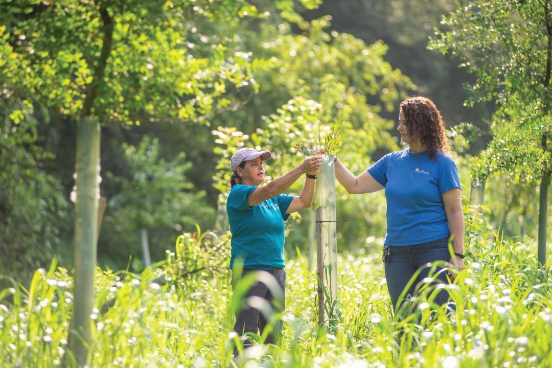 Park staff at Jug Bay Wetlands Sanctuary examine previously planted trees. Photo: Alliance for the Chesapeake Bay